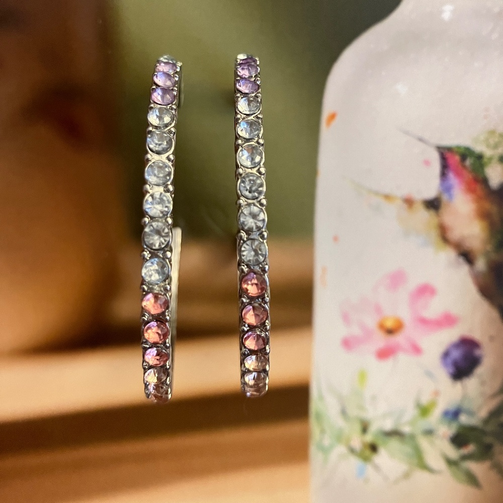 NWT! Rainbow Hoop Earrings by METAL W/Gift Bag